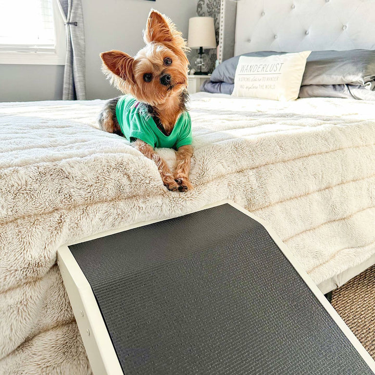 ShopyDogio Ramp - Vet Recommended Dog Ramp