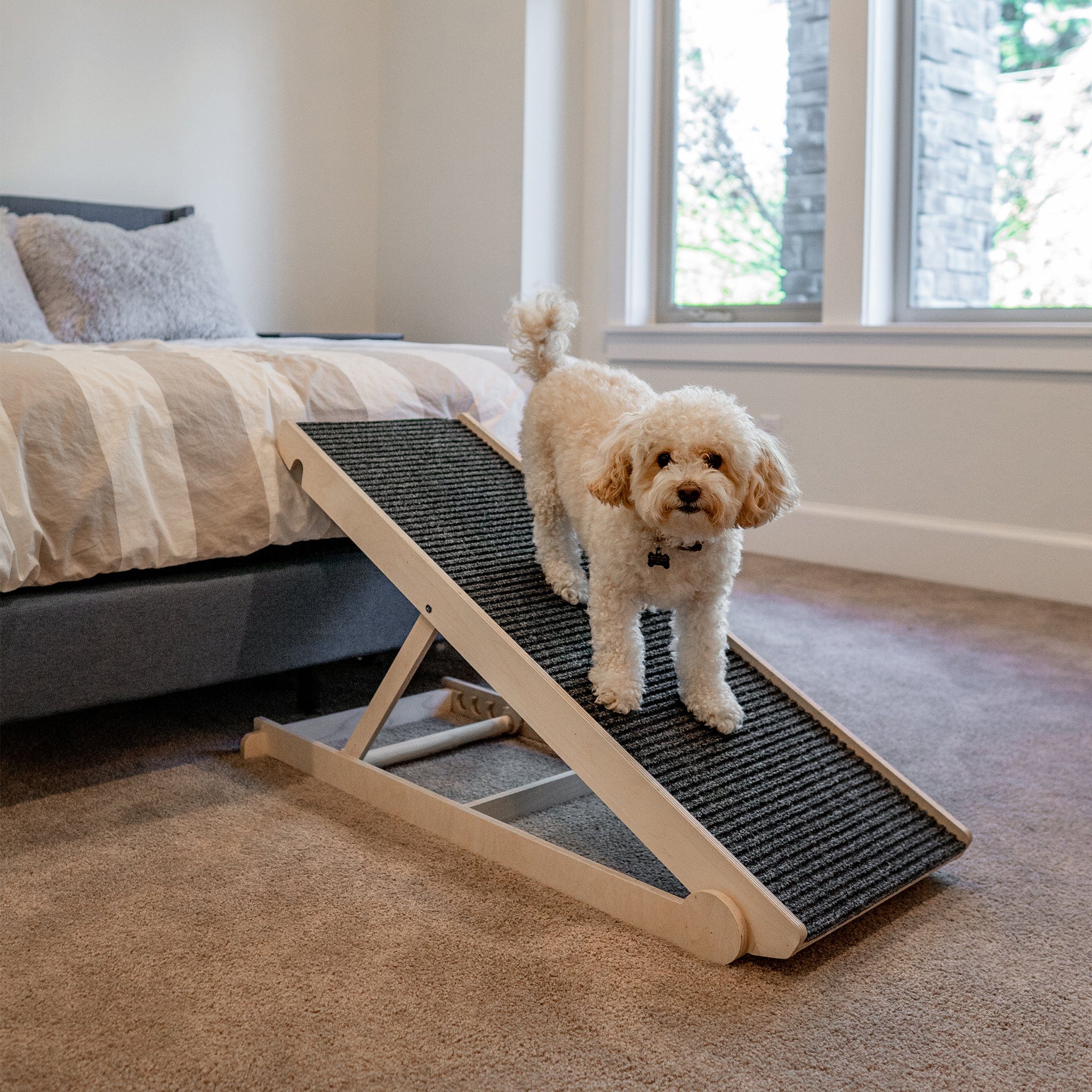 ShopyDogio Ramp - Vet Recommended Dog Ramp