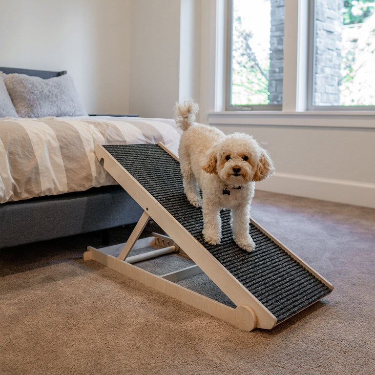 ShopyDogio Ramp - Vet Recommended Dog Ramp