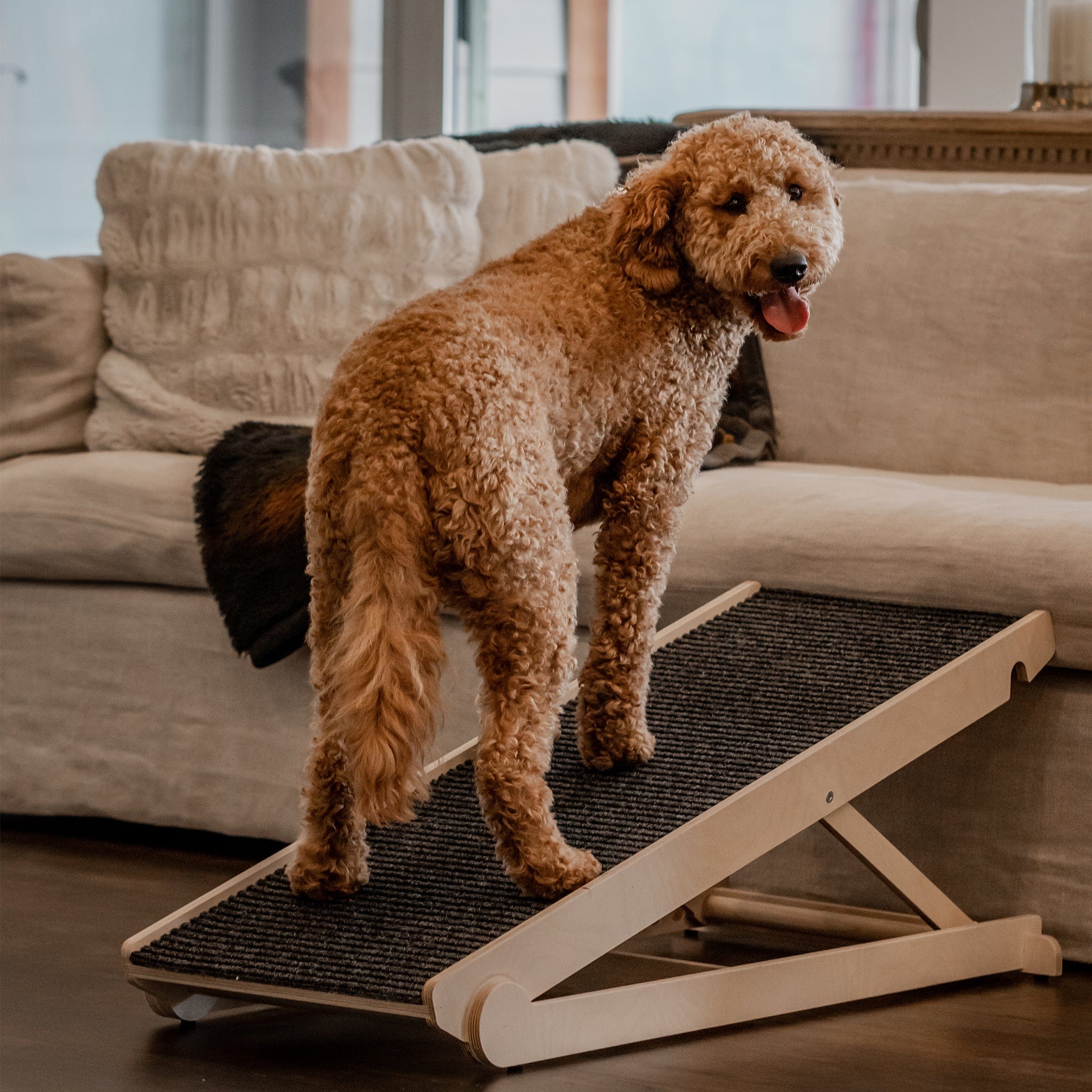 ShopyDogio Ramp - Vet Recommended Dog Ramp