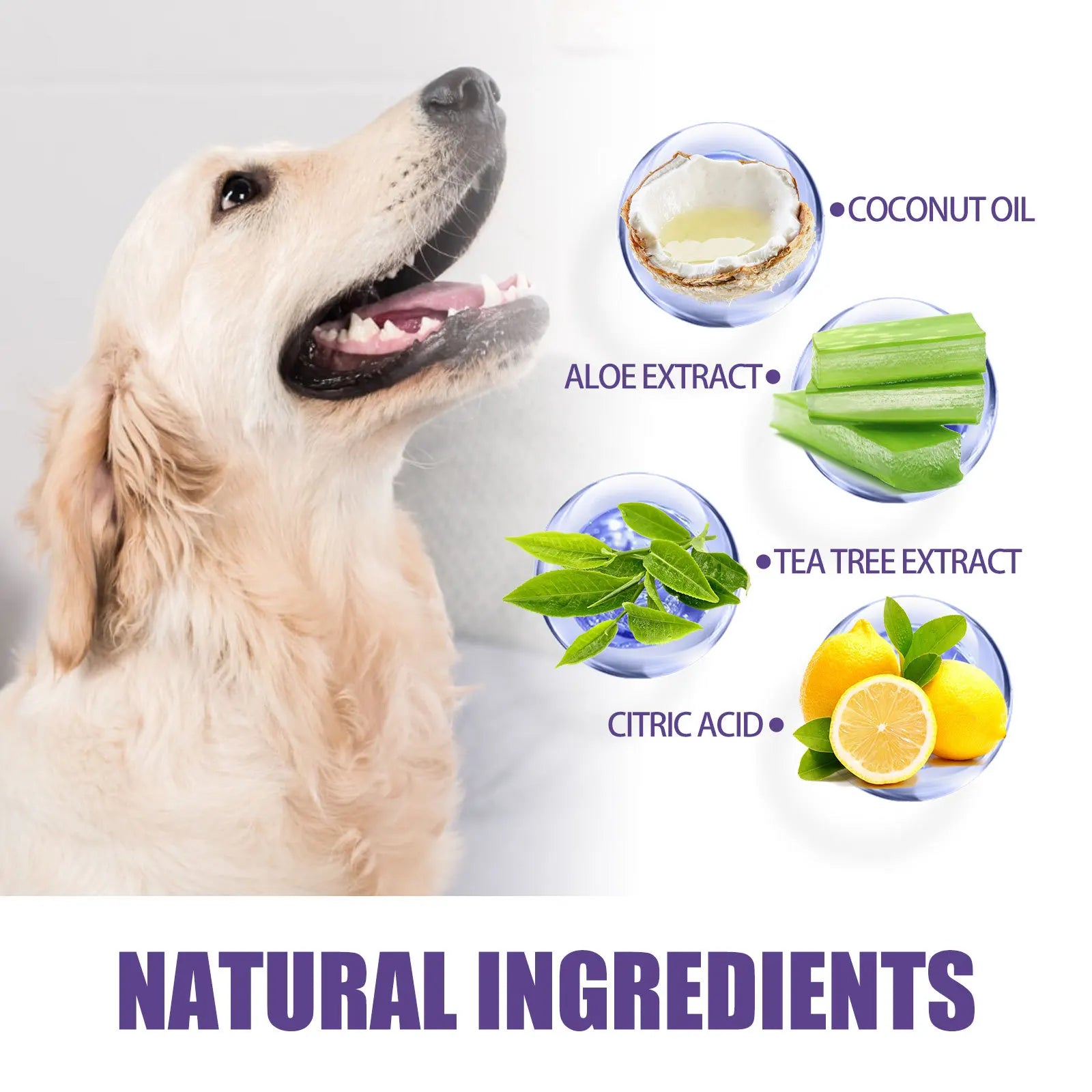 FreshPaw Tooth Wipes: 50-Count Pet Cleaning Gloves