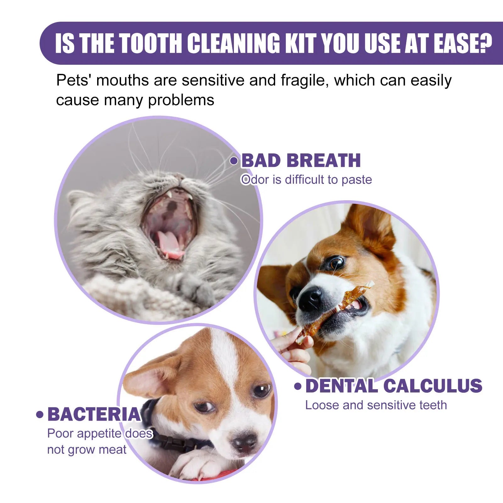 FreshPaw Tooth Wipes: 50-Count Pet Cleaning Gloves