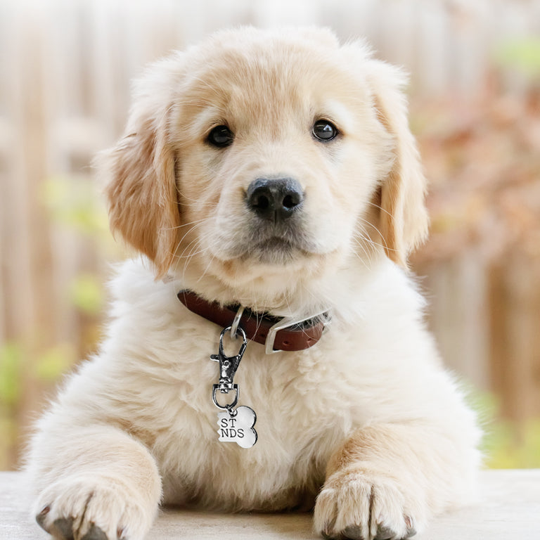 BEST FRIEND JEWELRY SET