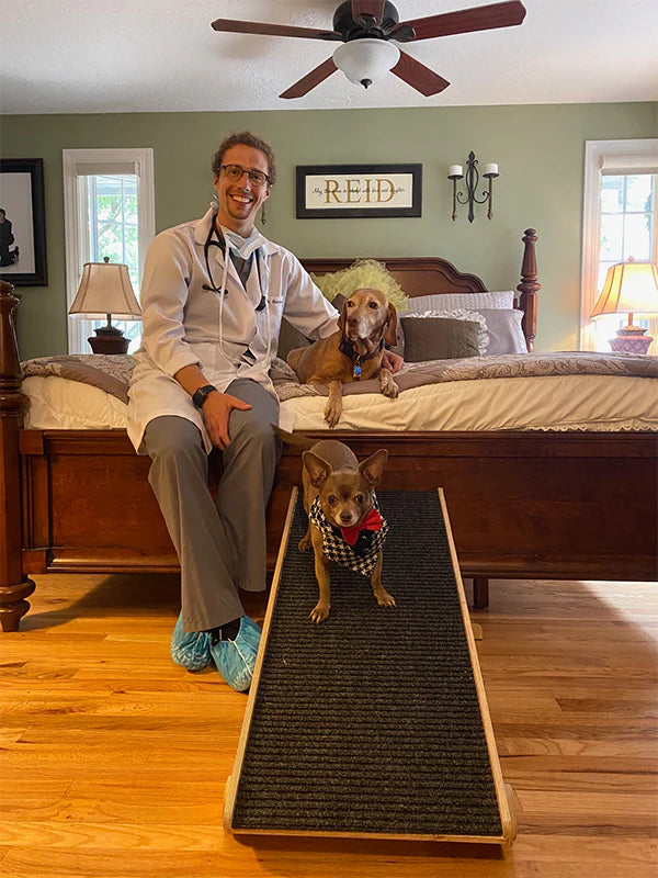 ShopyDogio Ramp - Vet Recommended Dog Ramp