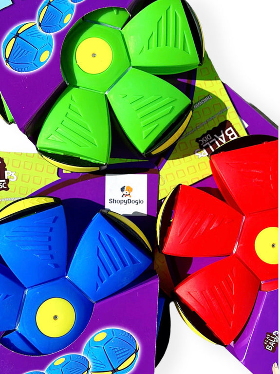 Flying Saucer Ball Dog Toy